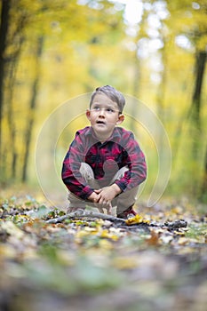 Beautiful little boy playing with a stick in the forest