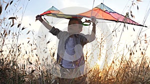 Beautiful little boy standing among the grass holds a toy kite over his head represents that flies on paragliding. concept dream o