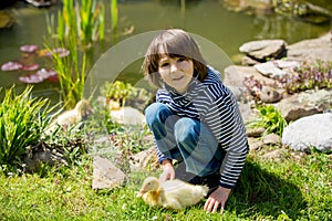 Beautiful little child, playing with ducklings on a little pond, having fun