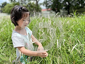 Beautiful little cute girl is picking up flower in the grass field with copy space