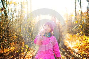 Beautiful little girl in the autumn forest against a background of yellow glowing leaves and the bright warm sun