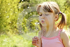 Beautiful little girl blowing on a dandelion