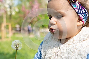 Beautiful little girl blowing dandelion. Cute girl on the medow.