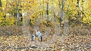 Beautiful little girl is dancing alone among fallen maple leaves