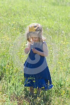 Beautiful little girl in a dress and crown