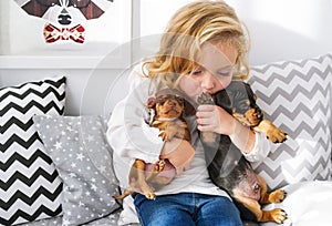 The beautiful little girl embraces two little charming puppies of a dachshund