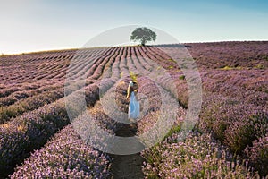 Girl in a lavender field