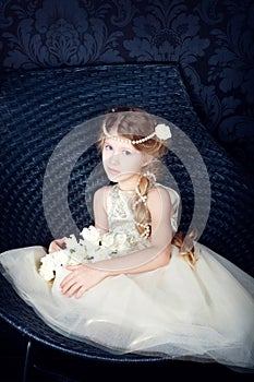 Beautiful little girl in princess dress