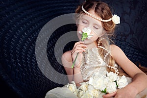 Beautiful little girl in princess dress