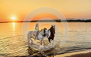 Beautiful little girl riding horse in sunset by the sea on the