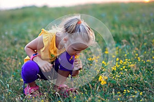Beautiful little girl sitting in a meadow and sniffing yellow wildflowers, a walk in the country