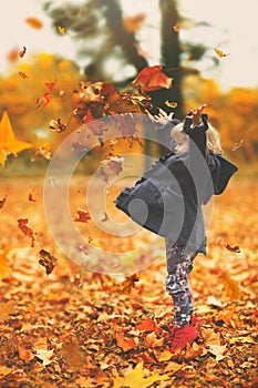 Beautiful little girl throwing yellow autumn leaves in the air in the park; autumn background with copy space