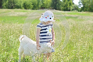 Beautiful little girl touch the goat in the field