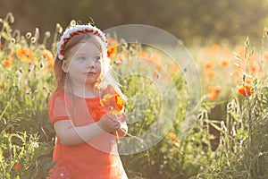 Beautiful little girl with a wreath on her head in a poppy field