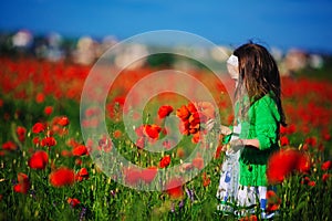 Beautiful little girl with a wreath of poppies on head collects a bouquet of wildflowers. cute child in poppies field
