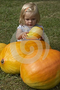 Beautiful little kid girl having fun with farming on organic pumpkin patch