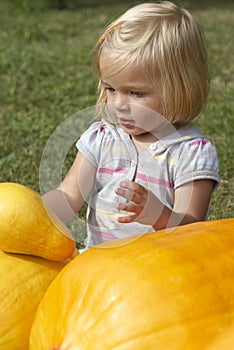 Beautiful little kid girl having fun with farming on organic pumpkin patch