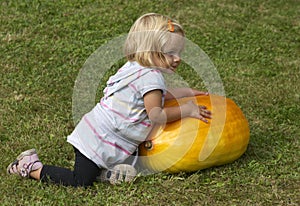 Beautiful little kid girl having fun with farming on organic pumpkin patch