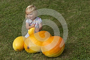 Beautiful little kid girl having fun with farming on organic pumpkin patch