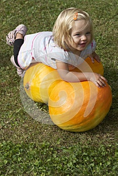 Beautiful little kid girl having fun with farming on organic pumpkin patch