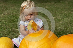 Beautiful little kid girl having fun with farming on organic pumpkin patch