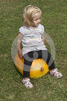 Beautiful little kid girl having fun with farming on organic pumpkin patch