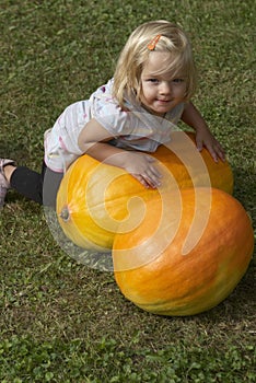 Beautiful little kid girl having fun with farming on organic pumpkin patch