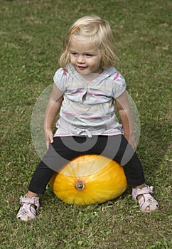 Beautiful little kid girl having fun with farming on organic pumpkin patch