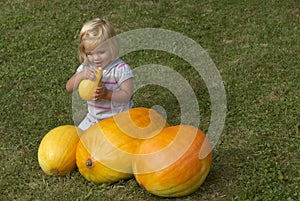 Beautiful little kid girl having fun with farming on organic pumpkin patch