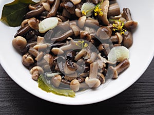 Beautiful little pickled mushrooms close-up