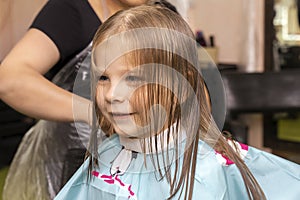 Beautiful little red-haired girl at the barber shop