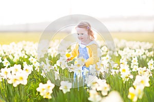 Beautiful little toddler girl field of white daffodil flowers