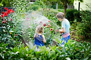 Beautiful little toddler girl and school kid boy watering garden flowers with water hose on summer day. Two happy