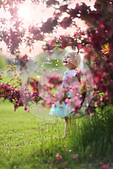 Beautiful Little Toddler Girl Standing Under Flowering Crabapple Tree Smiling