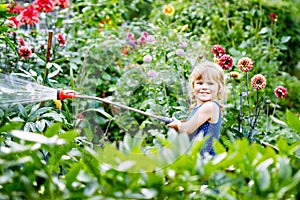 Beautiful little toddler girl watering garden flowers with water hose on summer day. Happy child helping in family