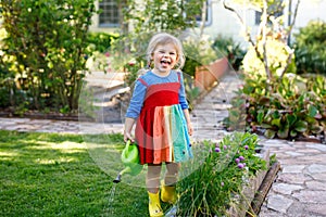 Beautiful little toddler girl in yellow rubber boots and colorful dress watering spring flowers with kids water can