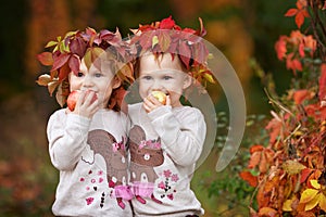 Beautiful little twin girls  holding apples in the autumn garden.  Little girls playing with apples. Toddler eating fruits at fall