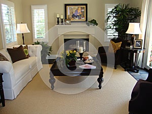 Beautiful Living Room photo