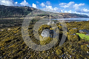 Glaciated marine geology at Loch Sunart in the Highlands of Scotland photo