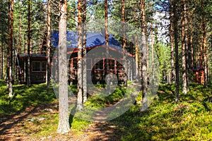 Beautiful log hut hidden in the Swedish forests