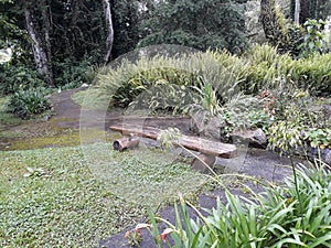 Beautiful lonely seat in the garden photo