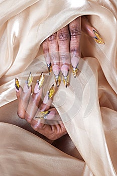 Beautiful long designer nails , nails for exhibitions, french manicure