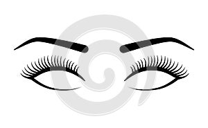 Beautiful long eyelashes with eyebrows for make up isolated on white background. - Vector