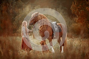 Beautiful long-haired blonde young woman in English style with red draft horse, Irish setter dog