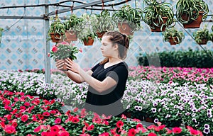 Beautiful long-haired girl in a greenhouse with flowers petunias in spring