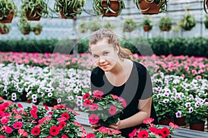 Beautiful long-haired girl in a greenhouse with flowers petunias in spring