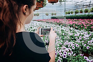 Beautiful long-haired girl makes a photo on the phone in the greenhouse. Photographs petunias.