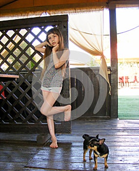 Beautiful long-haired little girl with a dog Chihuahua