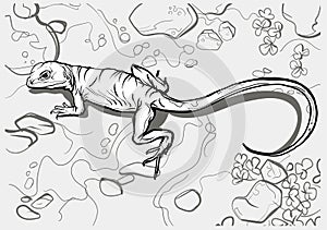 A beautiful long lizard. Reptile coloring page for children and adults, hand drawn illustration. A4 size. Design for