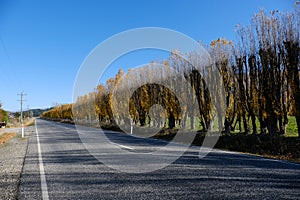 BEautiful long road at Newzealand photo